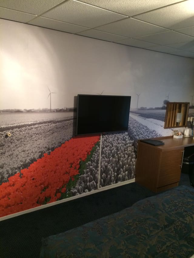 Zwart-witfoto van een bollenveld met één rode strook tulpen over de hele wand