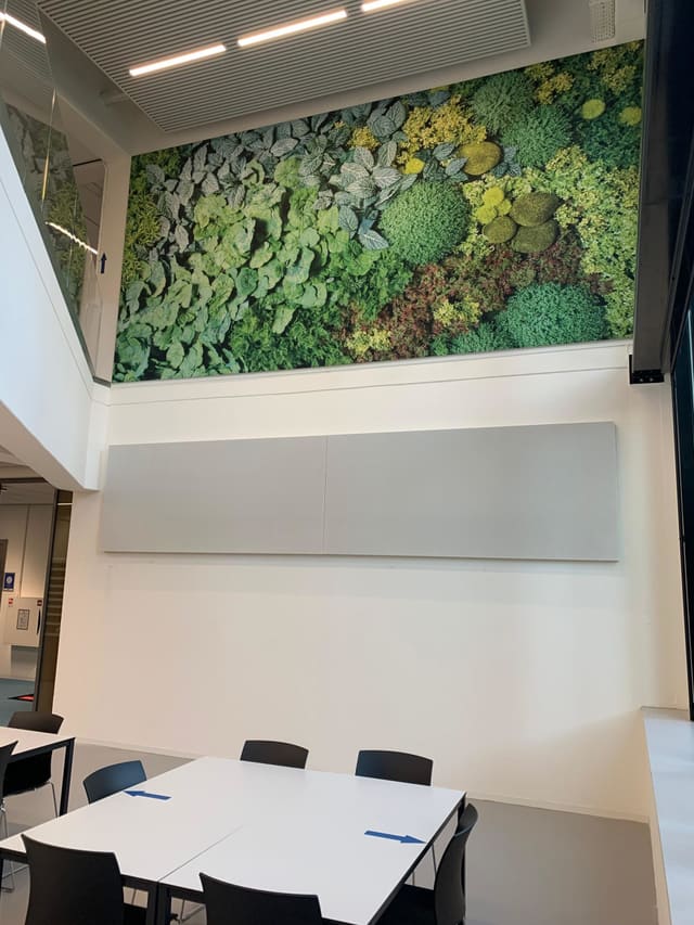 Smartframe met groene plantenprint hoog in een vide