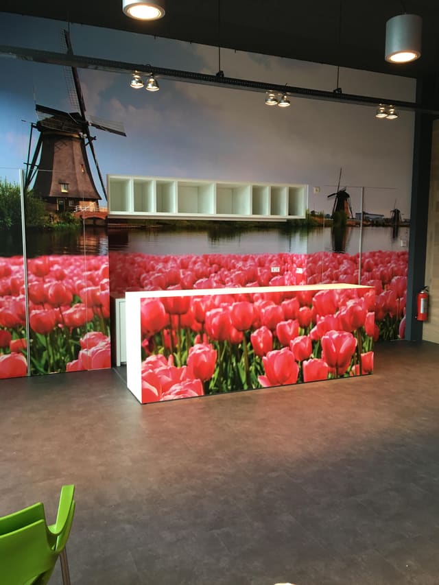Wandvullende foto van een molen en een tulpenveld, doorlopend op de balie ervoor